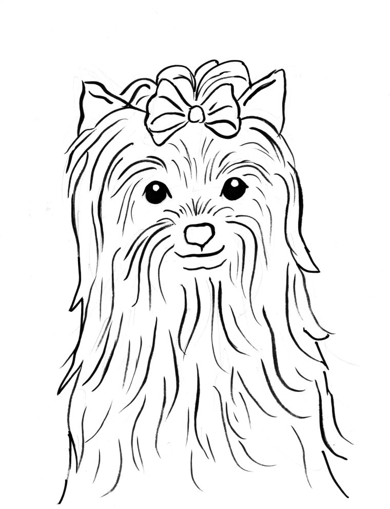 Yorkie coloring pages