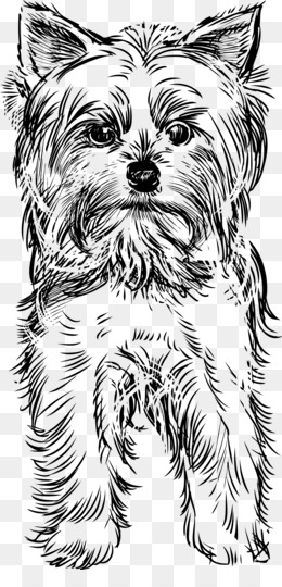 Yorkie png