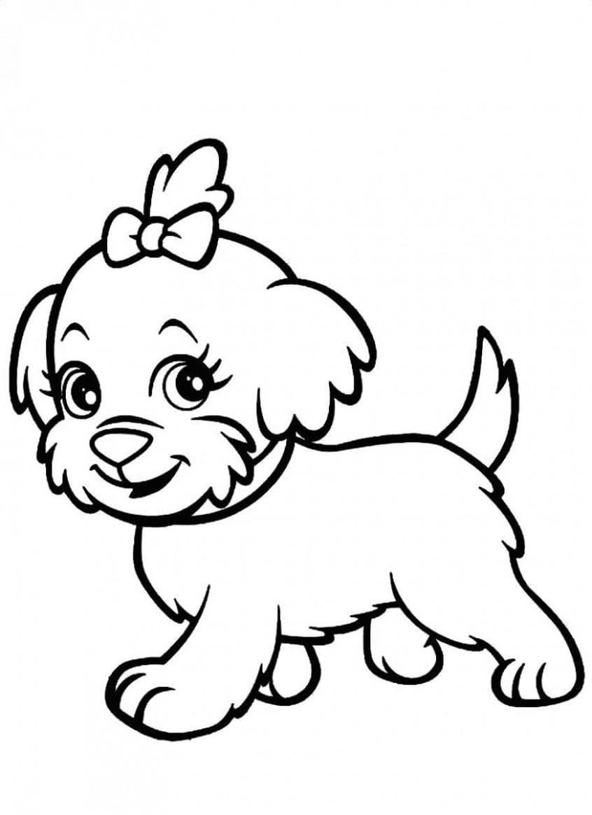 Cute yorkie coloring page