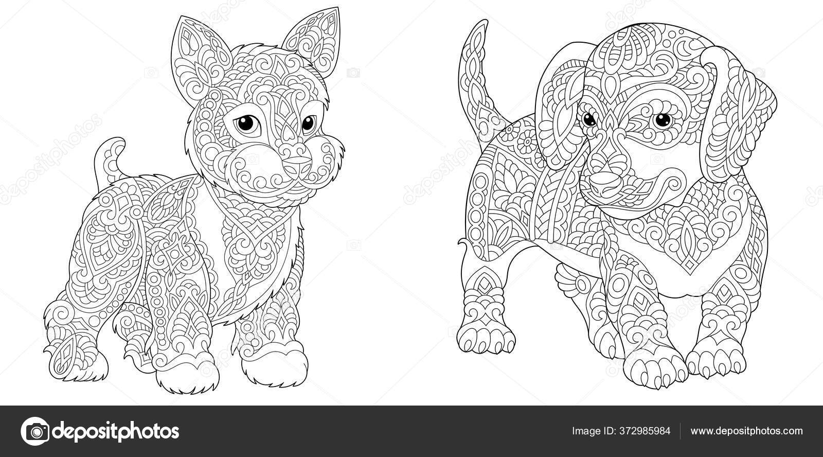 Animal coloring pages cute yorkshire terrier dachshund line art design stock vector by sybirko