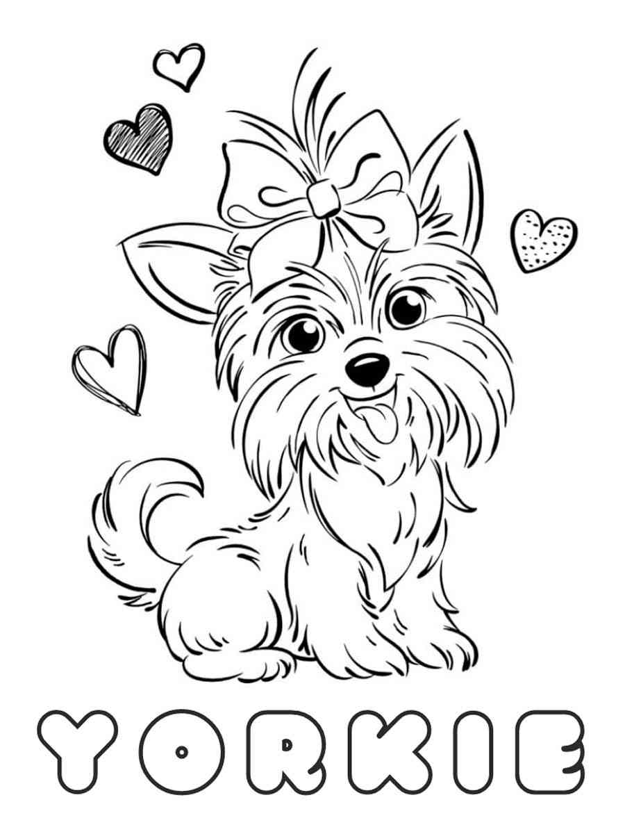 Yorkshire terrier coloring pages