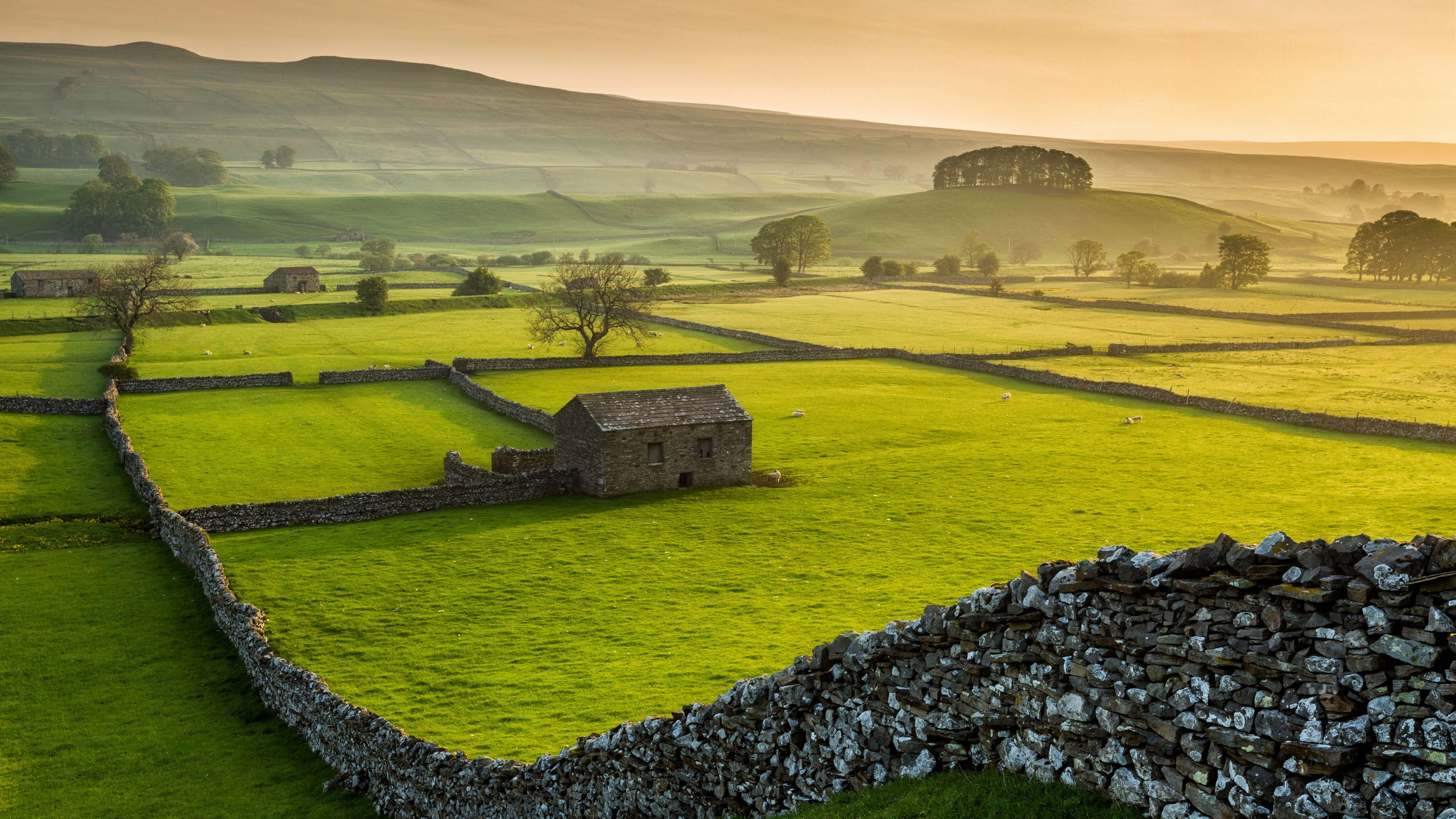 Wallpaper wensleydale yorkshire dales national park north yorkshire green grass summer k travel