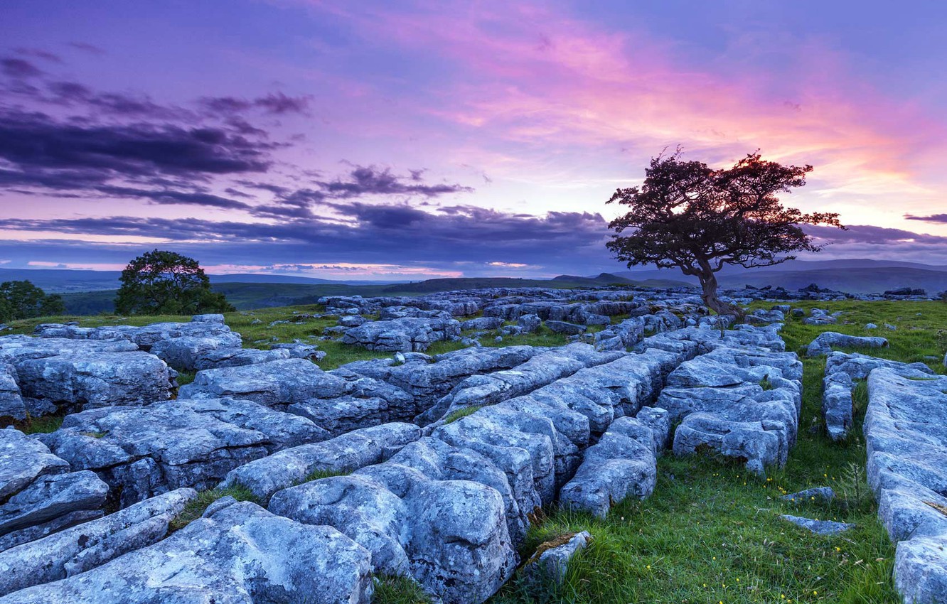 Wallpaper clouds stones tree england glow the yorkshire dales images for desktop section ðñðñððð