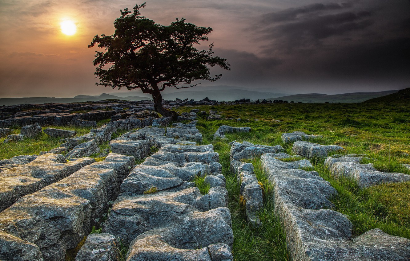 Wallpaper stones tree england yorkshire dales images for desktop section ððµðð