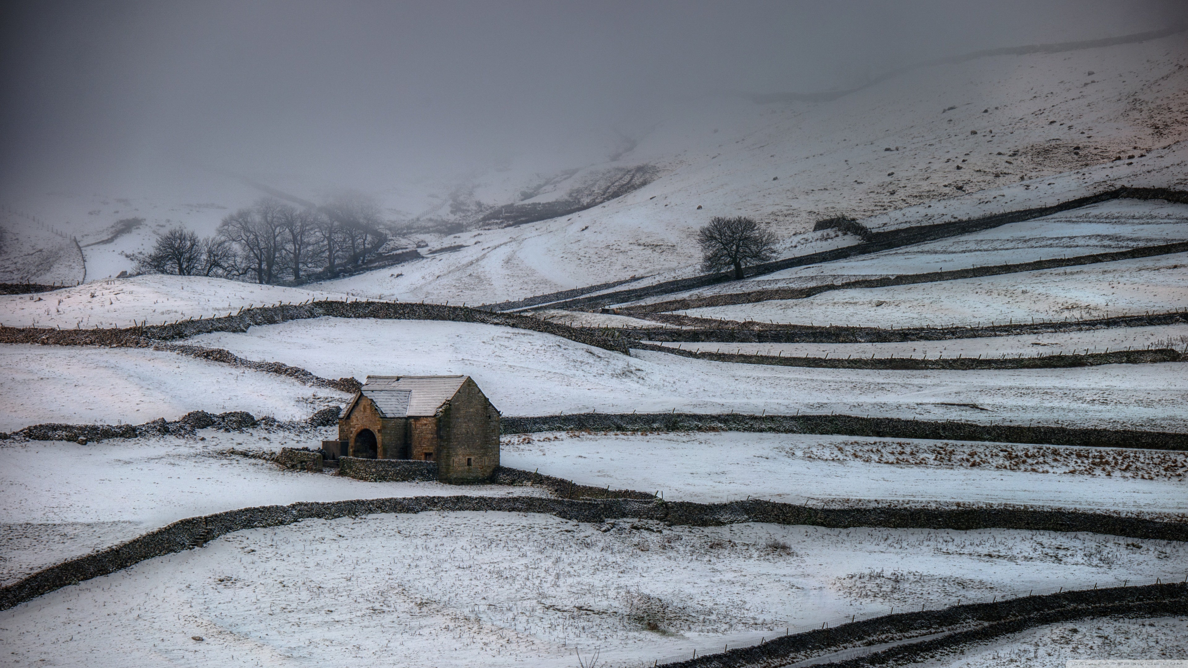 Yorkshire k wallpapers for your desktop or mobile screen free and easy to download