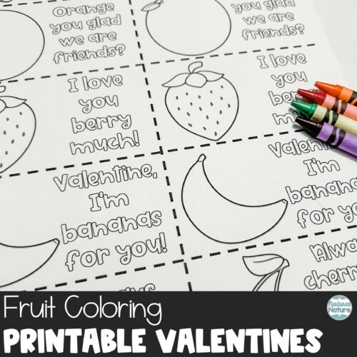 Fruit coloring valentines day cards printable made by teachers