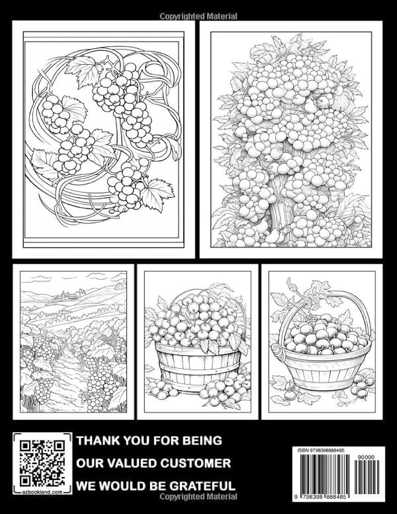 Berry bonanza coloring book an intricate coloring book for older children