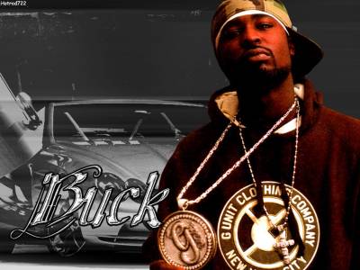 Young buck wallpaper