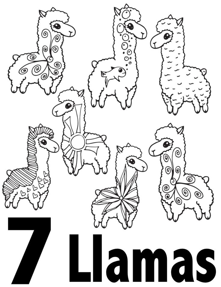 Llama numbers