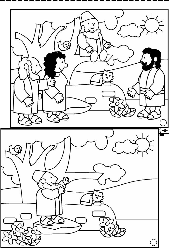 Zacchaeus meets jesus zacchaeus bible coloring pages sunday school preschool