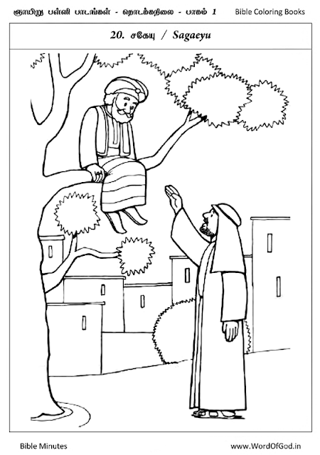 Color the bible zacchaeus in the tree coloring page