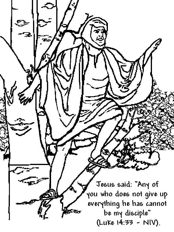 Zacchaeus