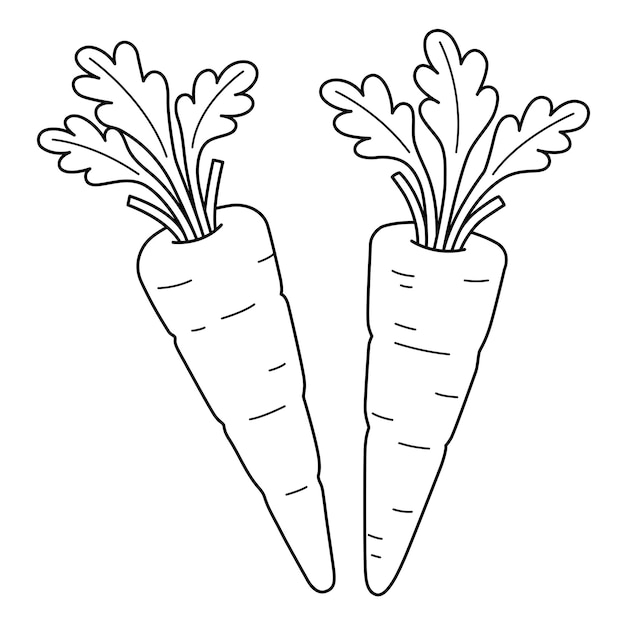 Carrots drawing images