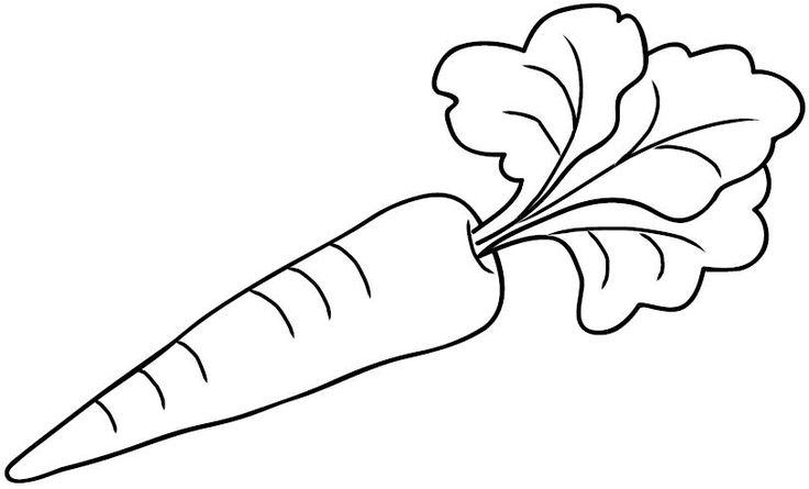 Zanahoriajpg ã coloring pages free coloring pages color