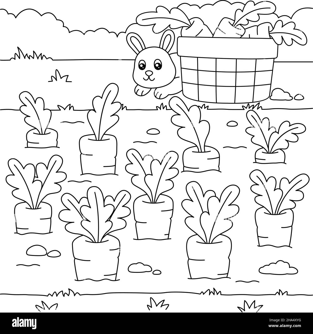 Bunny rabbit carrot illustration drawing black and white stock photos images