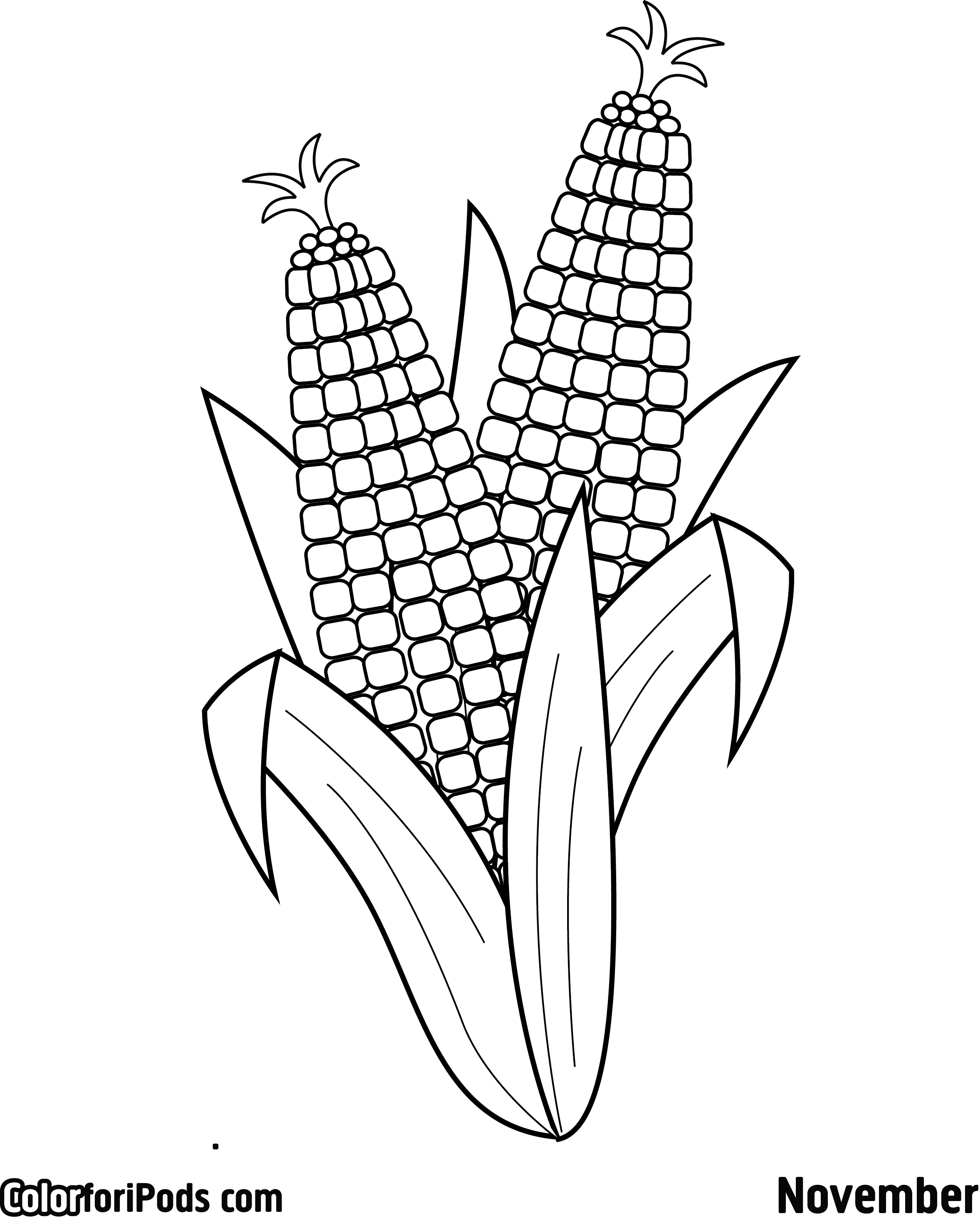 Ears of corn coloring pages broderie gabarit