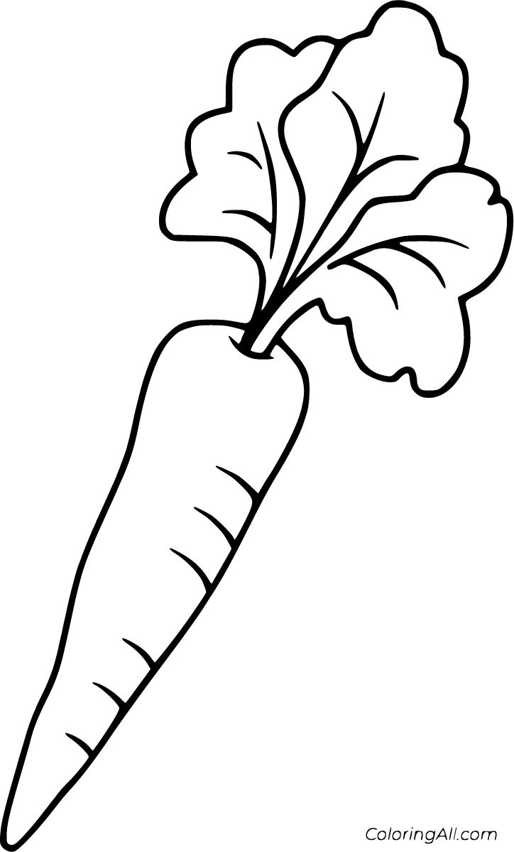 Vibrant carrot coloring pages for free