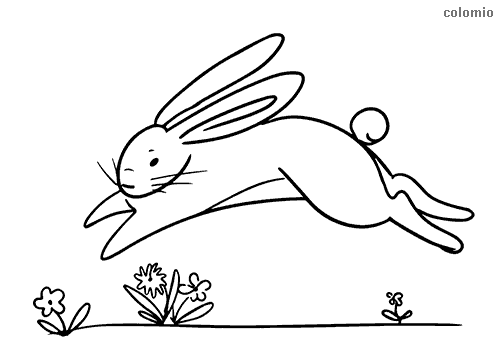 Rabbits coloring pages free printable rabbit coloring sheets