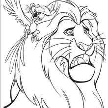 Zazu warns mufasa coloring pages