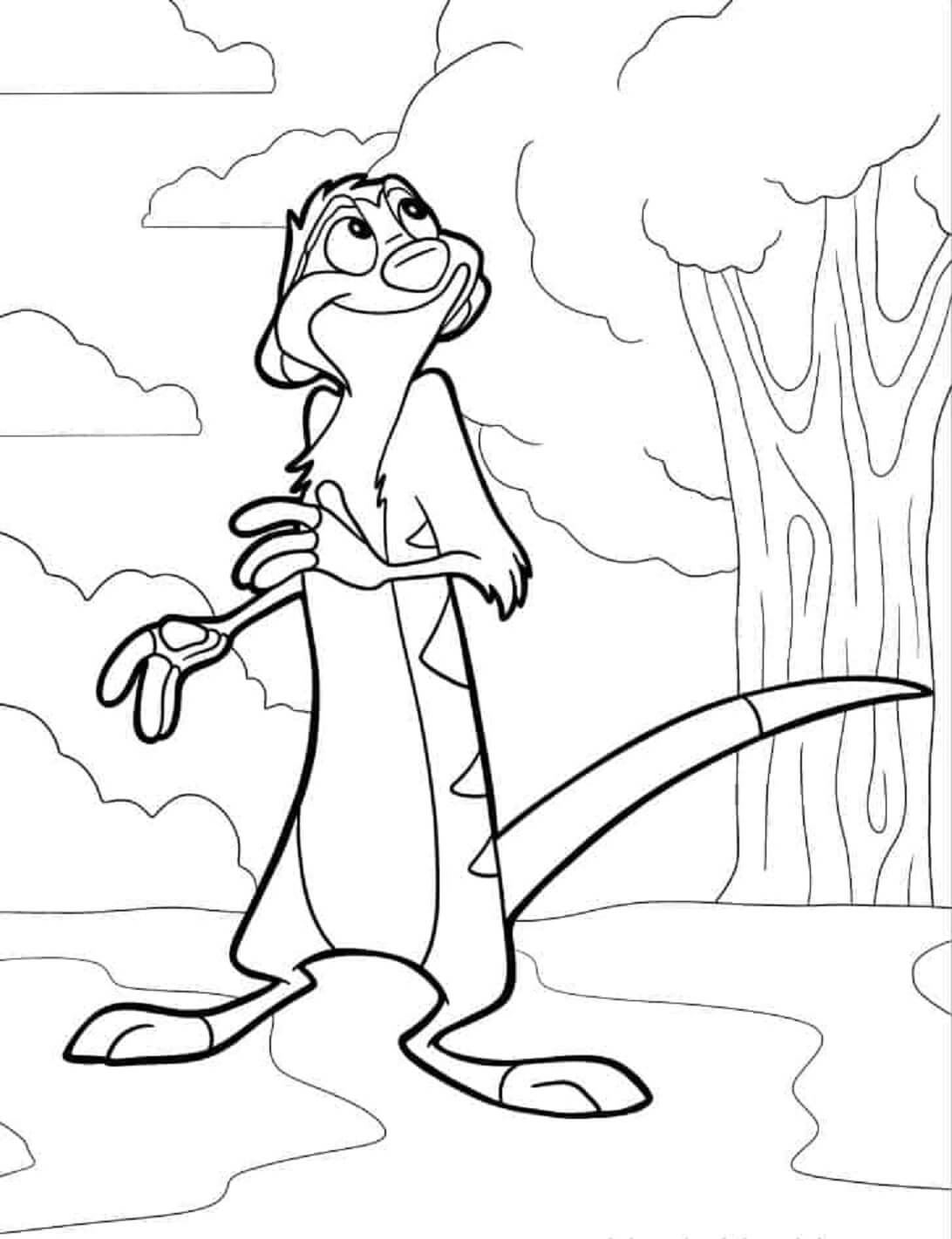 Smile timon standing coloring page