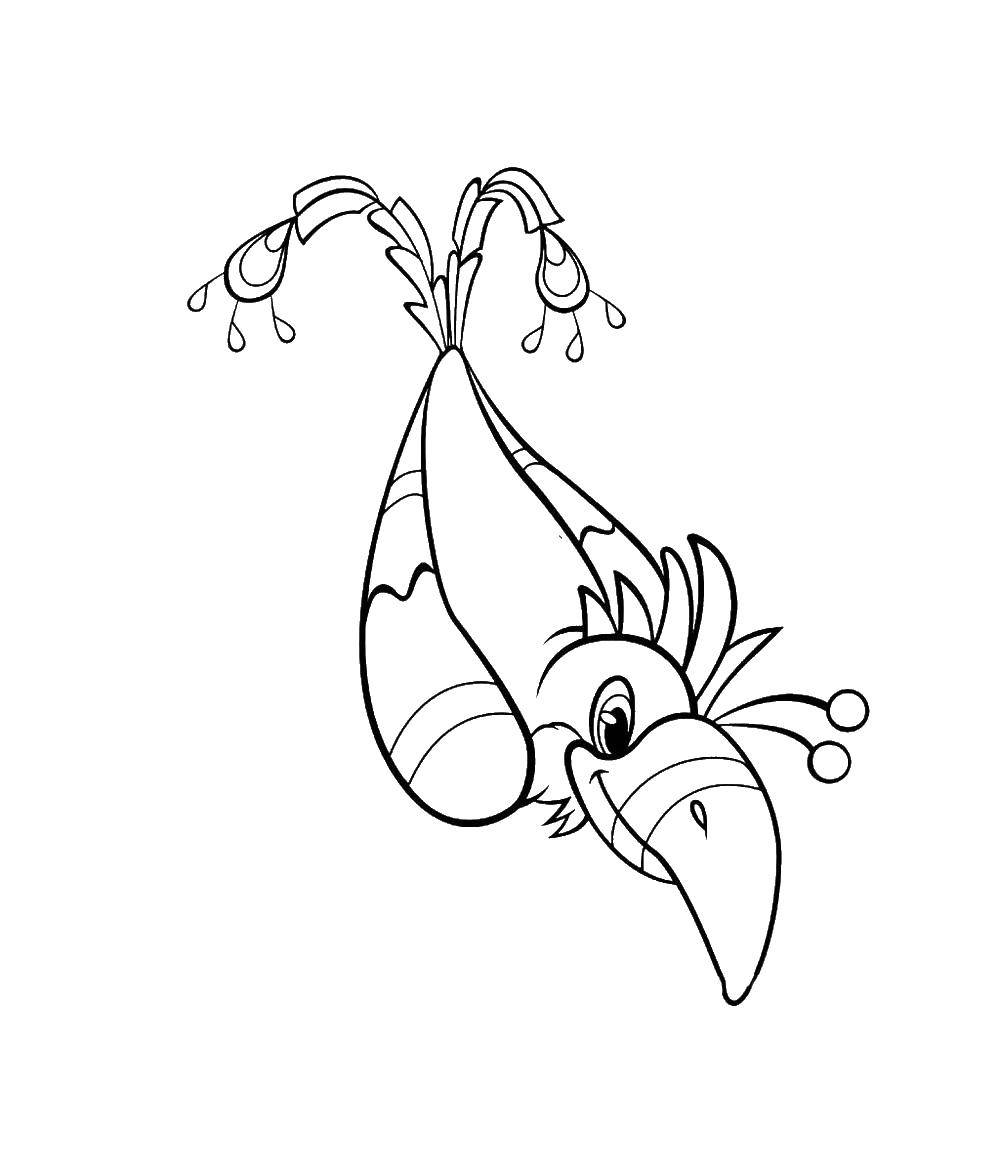 Online coloring pages coloring page beautiful parrot birds download print coloring page