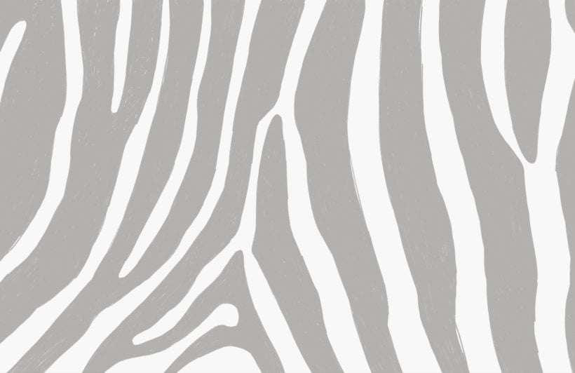 Zebra Print Wallpaper Wall Mural by Magic Murals