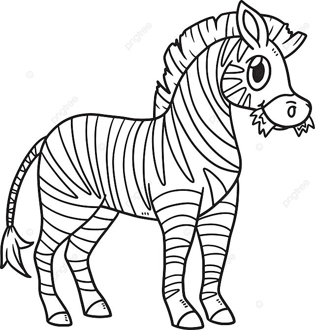 Zebra lines clipart png vector psd and clipart with transparent background for free download