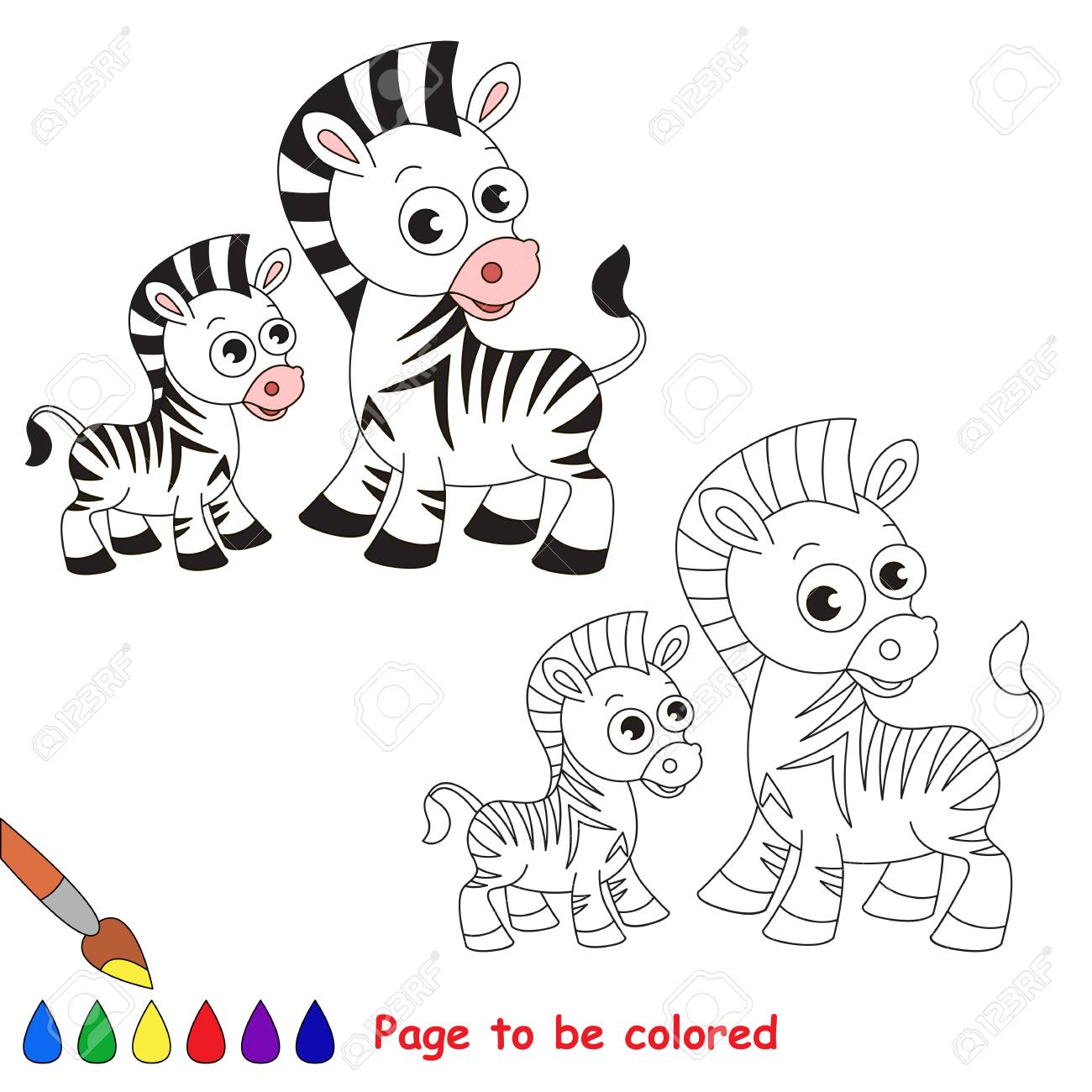 Zebra and her baby to be colored coloring book to educate kids learn colors visual educational game easy kid gaming and primary education simple level of difficulty coloring pages royalty free svg