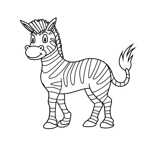 Cartoon animal zebra illustration for pre school education kindergarten and kids and children coloring page and books zoo topic with smiling happy face friendly african striped horse stock illustration