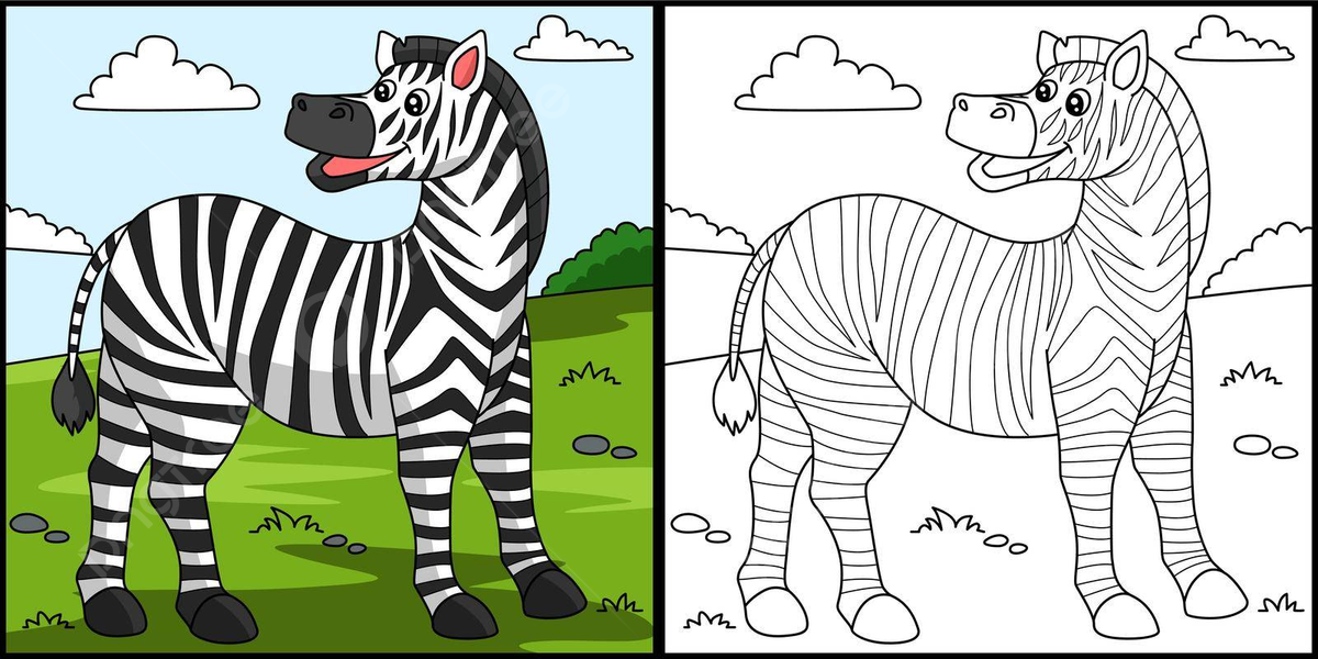 Zebra coloring page png transparent images free download vector files