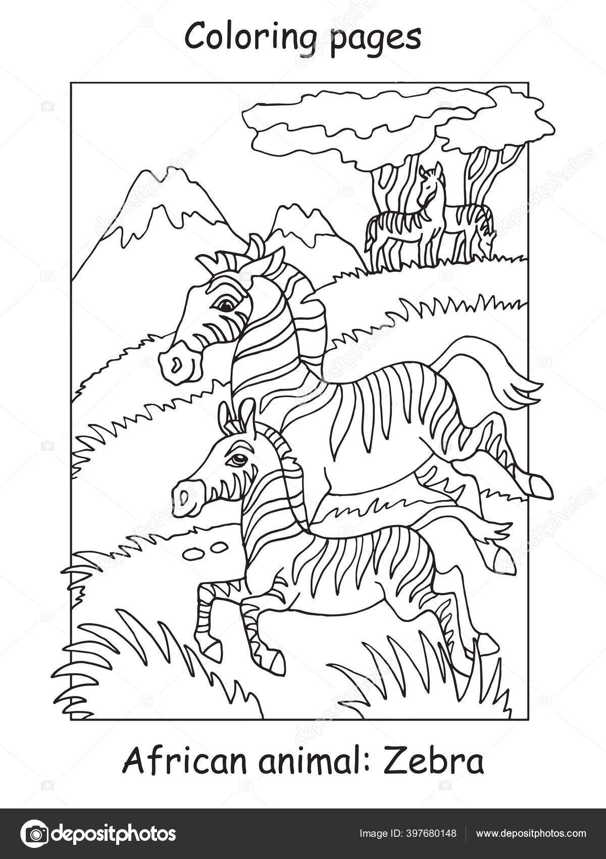 Vector coloring pages cute zebra family african area cartoon contour stock vector by alinart