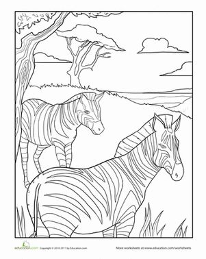 Color the relaxing zebras worksheet education education zebra coloring pages zebras