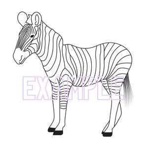 Zebra coloring page