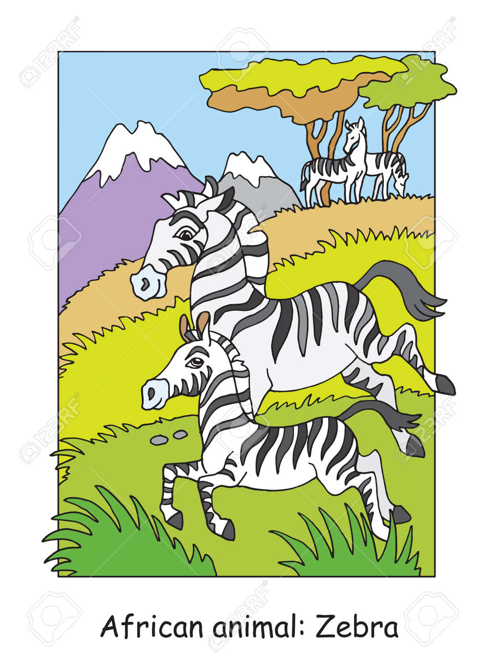 Vector coloring pages with cute zebra family in african area cartoon isolated colorful illustration stock illustration for coloring book design preschool education print and game royalty free svg cliparts vectors and stock