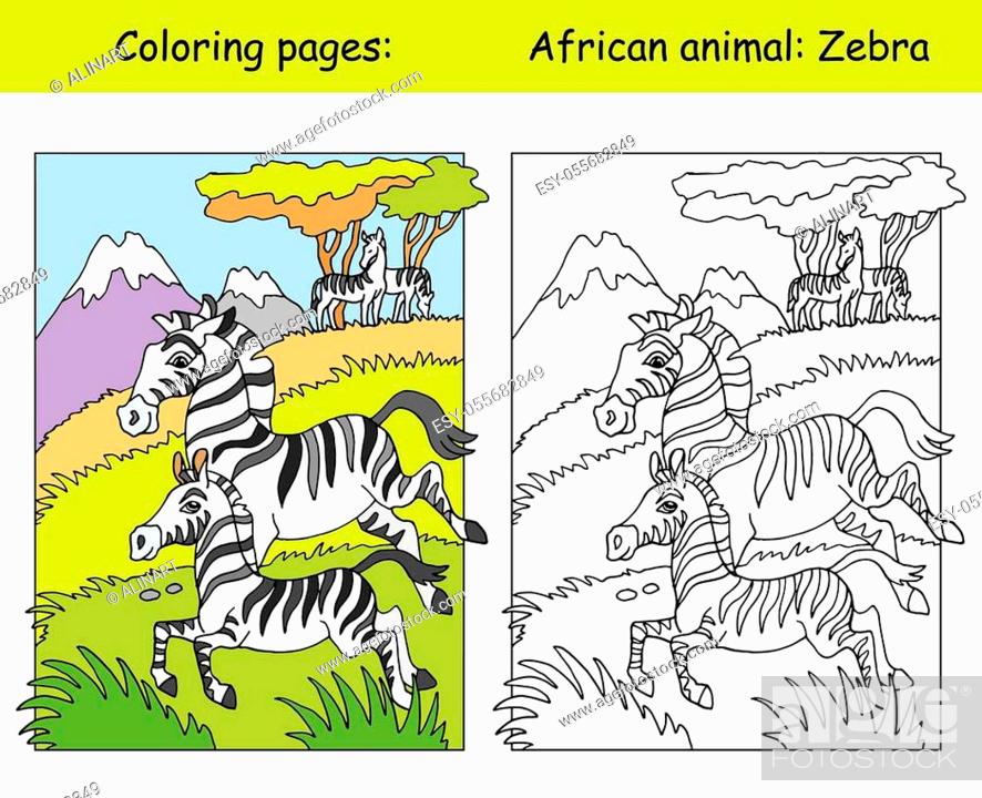 Vector coloring pages with cute zebra family in african area stock vector vector and low budget royalty free image pic esy