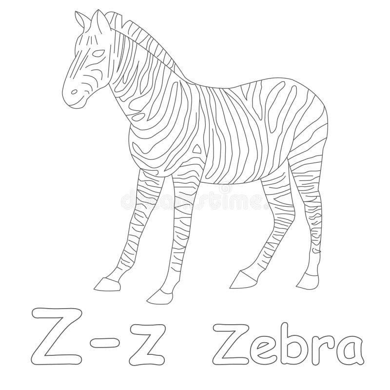 Zebra coloring stock illustrations â zebra coloring stock illustrations vectors clipart