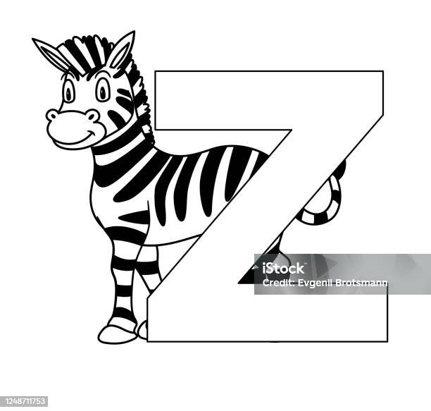Animal alphabet capital letter z zebra illustration for pre school education kindergarten and foreign language learning