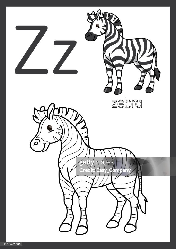 Vector illustration of zebra with alphabet z for children learning practice abc on a paper size ready to print high