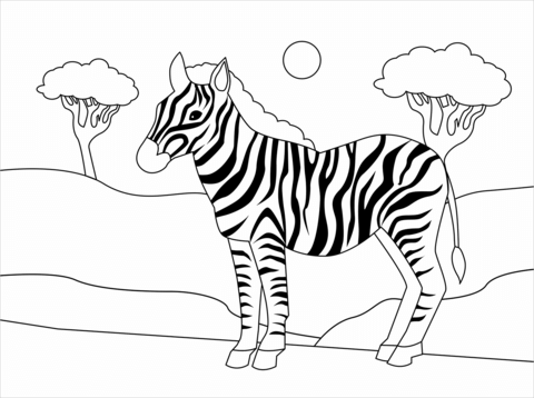 Zebra coloring page free printable coloring pages
