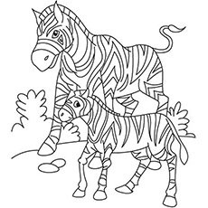 Top free printable zebra coloring pages online
