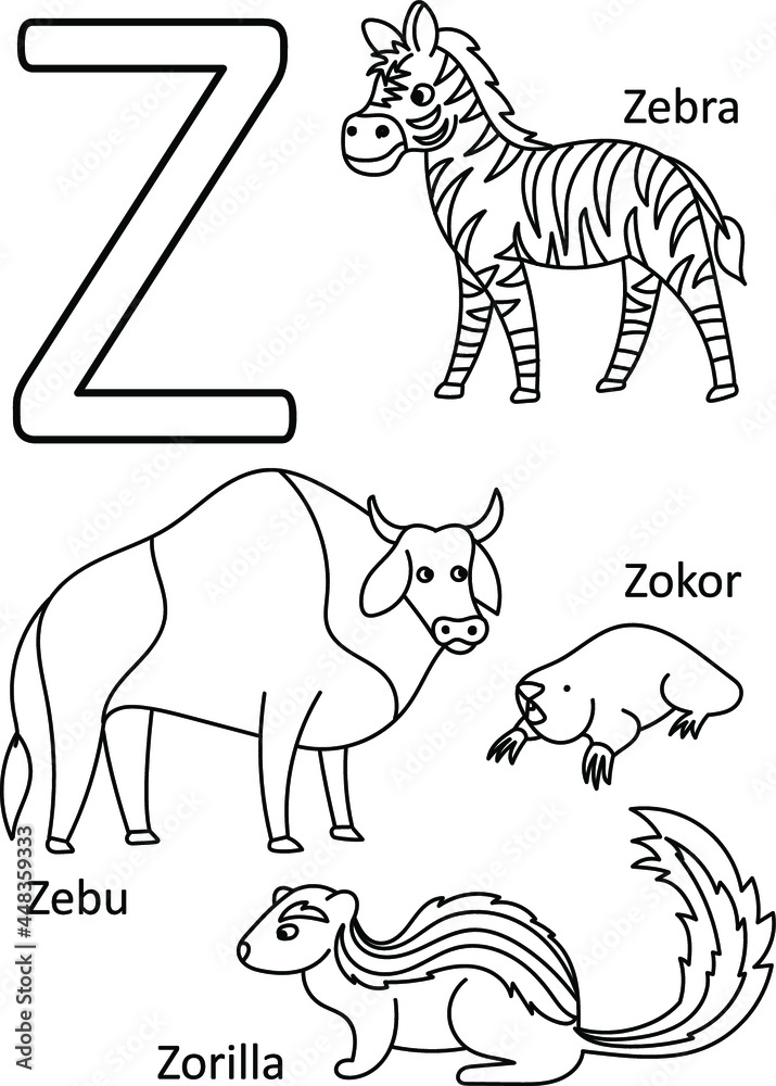Z animals names alphabet coloring for kids alphabet animals coloring page abc coloring preschool education vector