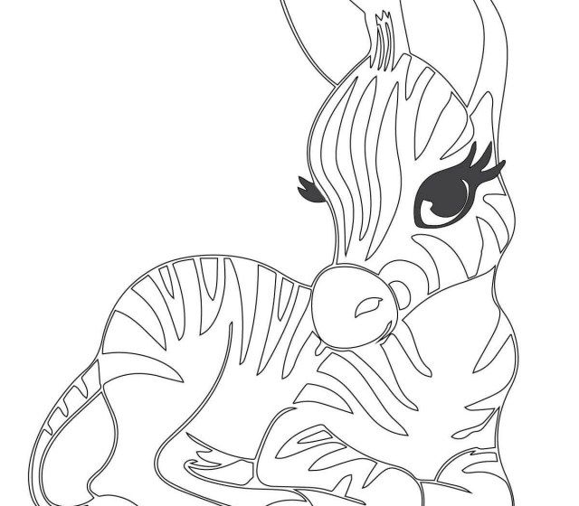 Beautiful zebra coloring pages