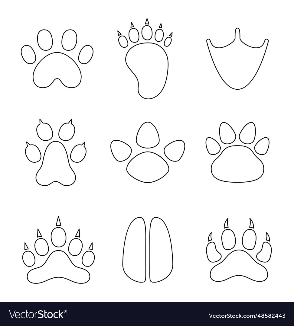 Animal paw print coloring page different traces vector image