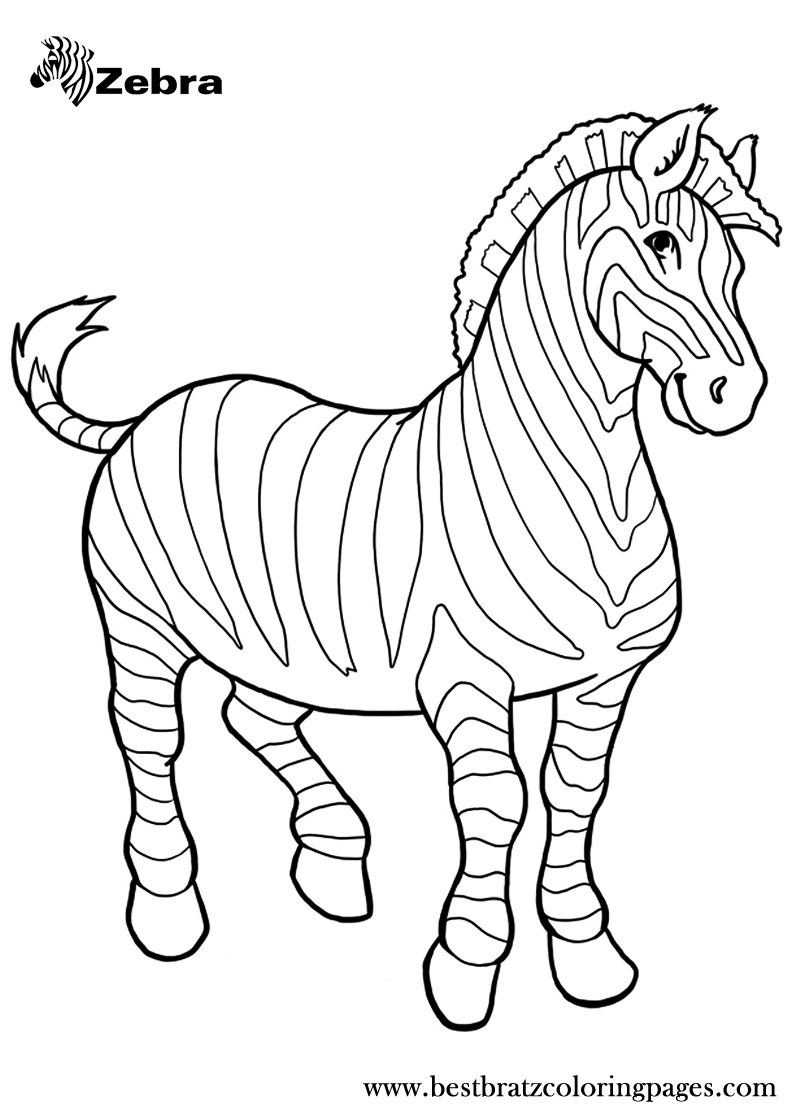 Buy with epik zebra coloring pages zoo animal coloring pages animal coloring pages