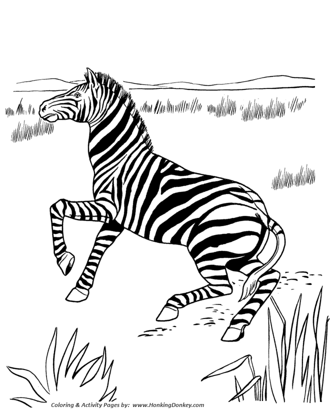 Wild animal coloring pages lonely zebra coloring page and kids activity sheet