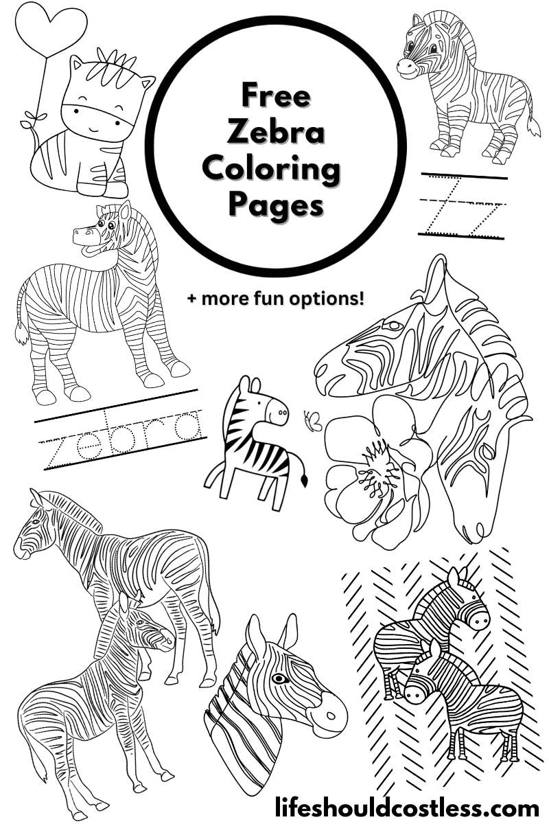 Zebra coloring pages free printable pdf templates