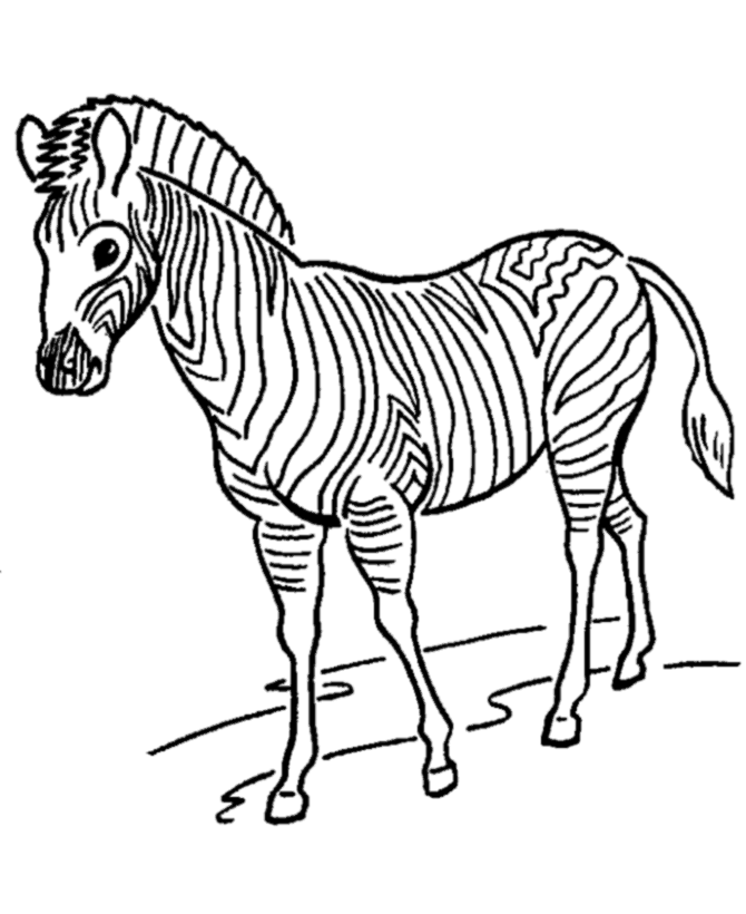 Zoo animal coloring pages zoo zebras coloring page and kids activity sheet