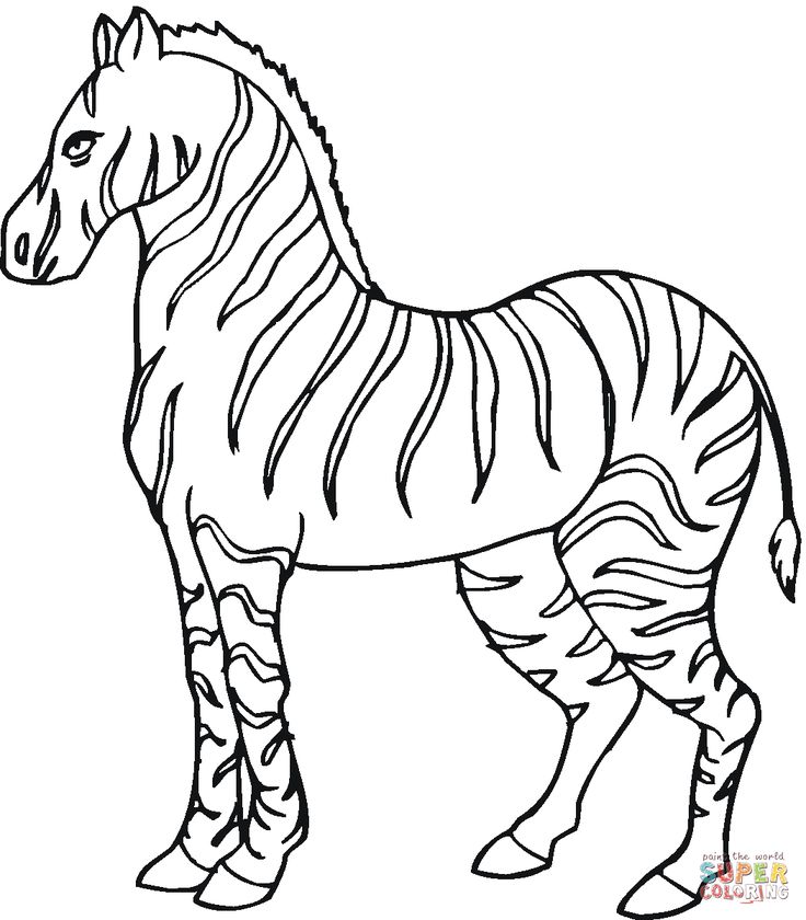 Zebras coloring pages free coloring pages zebra coloring pages animal coloring pages free kids coloring pages