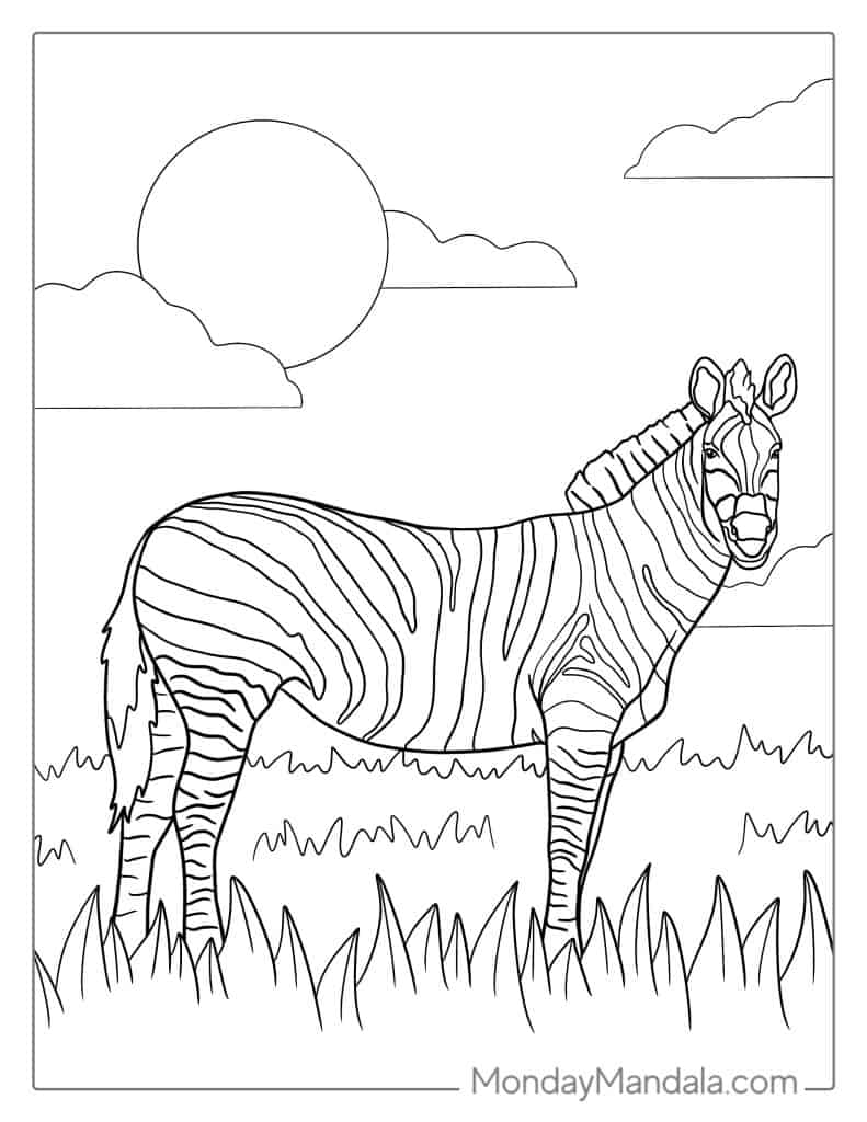 Zebra coloring pages free pdf printables