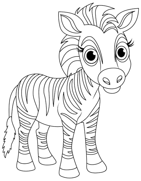 Zebra coloring pages vectors illustrations for free download